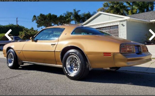 Pontiac Firebird 1977 image number 13