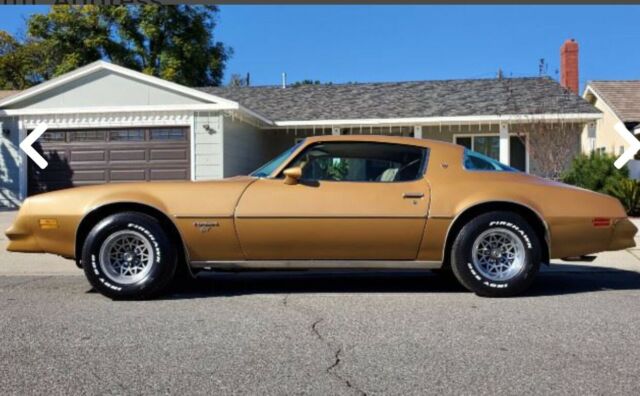 Pontiac Firebird 1977 image number 14