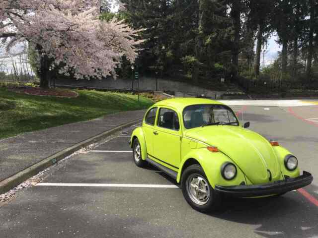 Volkswagen Beetle 1974 image number 17