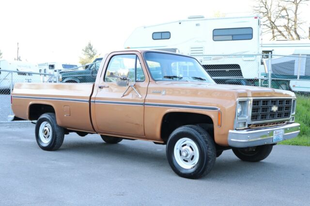 Chevrolet C/K Pickup 1500 1979 image number 1