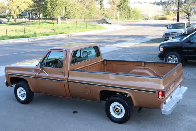 Chevrolet C/K Pickup 1500 1979 image number 10