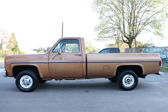 Chevrolet C/K Pickup 1500 1979 image number 2