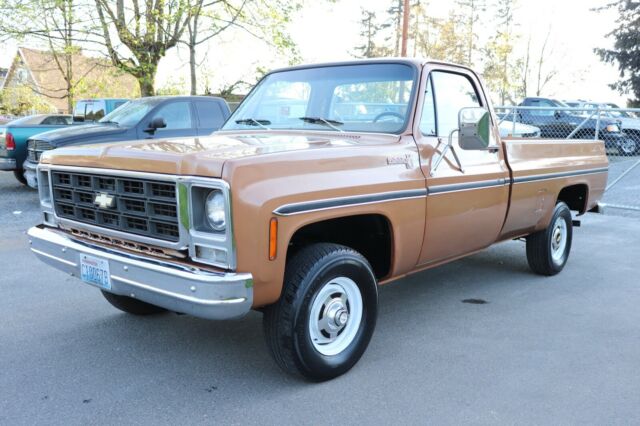 Chevrolet C/K Pickup 1500 1979 image number 27