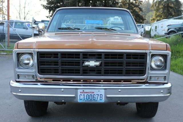 Chevrolet C/K Pickup 1500 1979 image number 28