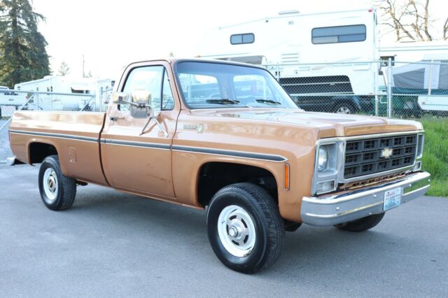 Chevrolet C/K Pickup 1500 1979 image number 29