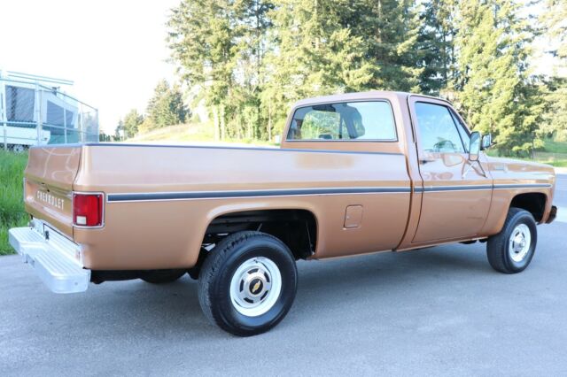 Chevrolet C/K Pickup 1500 1979 image number 31