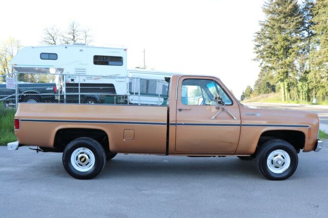 Chevrolet C/K Pickup 1500 1979 image number 6