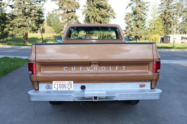 Chevrolet C/K Pickup 1500 1979 image number 8