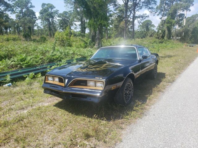 Pontiac Trans Am 1978 image number 2