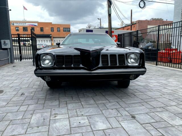 Pontiac Grand Am 1973 image number 1