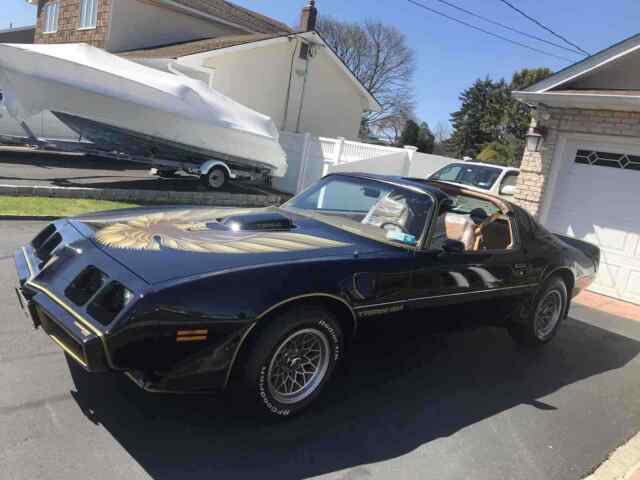 Pontiac Trans Am 1979 image number 11