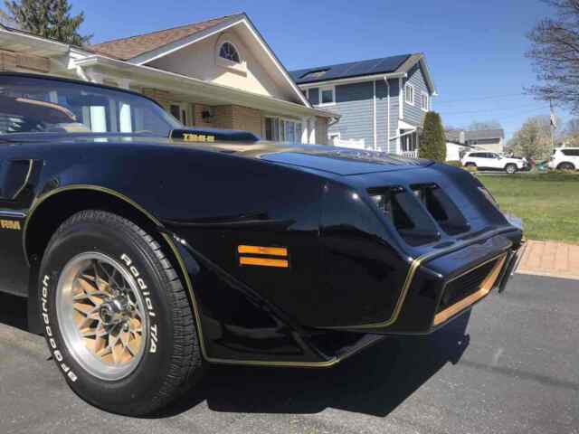 Pontiac Trans Am 1979 image number 12