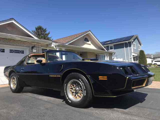 Pontiac Trans Am 1979 image number 28