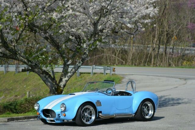 Backdraft Cobra 427 1965 image number 24