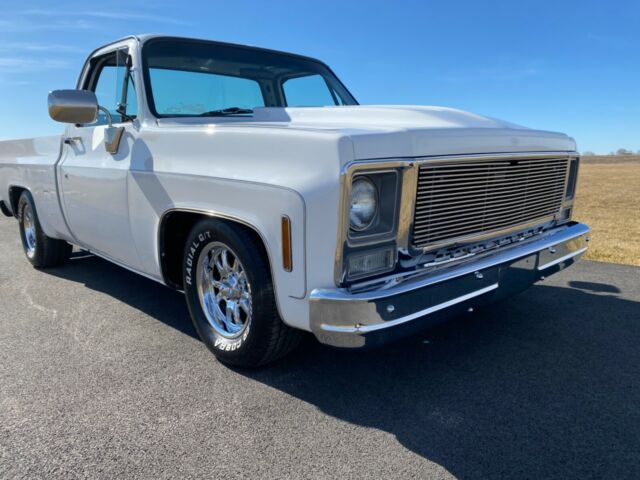 Chevrolet C-10 1974 image number 7