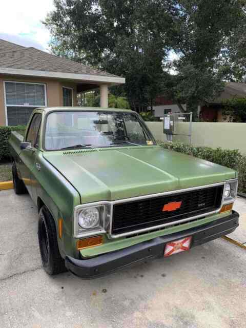 Chevrolet C10/K10 1974 image number 2