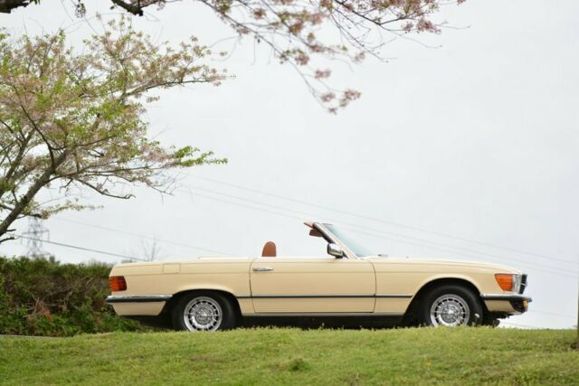 Mercedes-Benz SL-Class 1976 image number 6