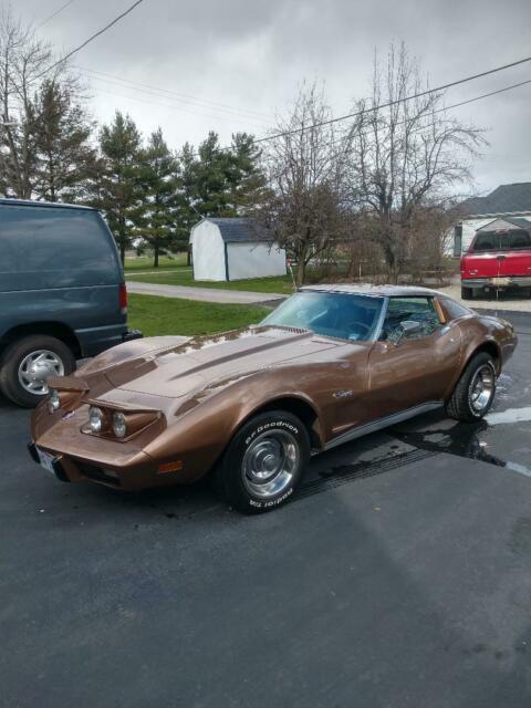 Chevrolet Corvette 1976 image number 11