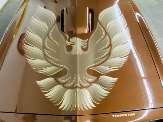 Pontiac Trans Am 1979 image number 9