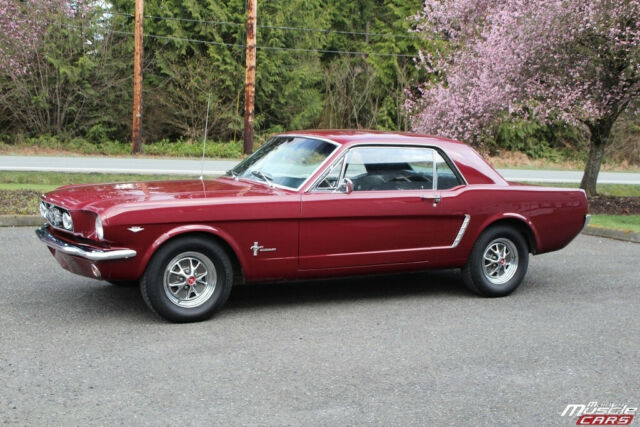 Ford Mustang 1965 image number 14