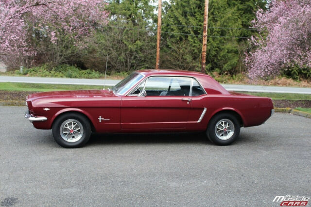 Ford Mustang 1965 image number 15