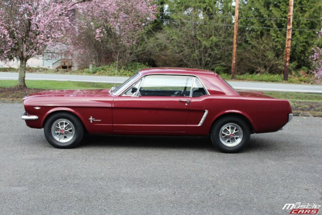 Ford Mustang 1965 image number 16