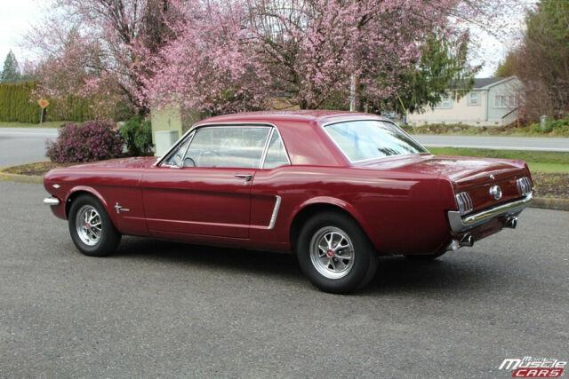 Ford Mustang 1965 image number 18