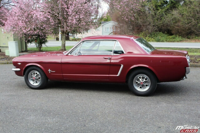 Ford Mustang 1965 image number 5