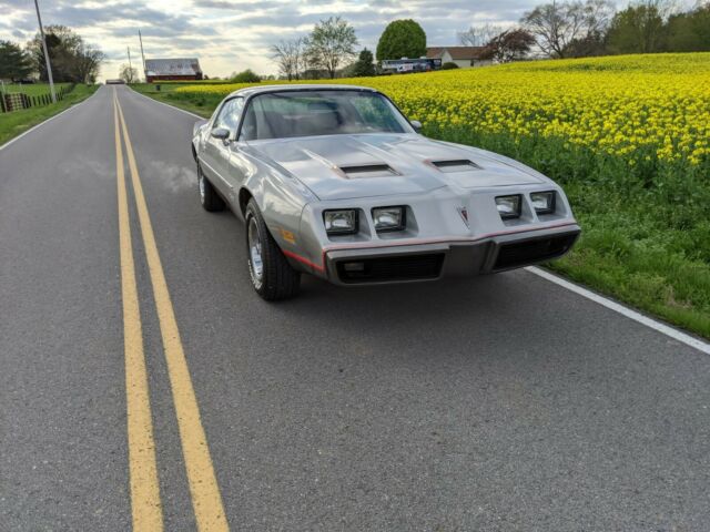 Pontiac Firebird 1979 image number 28