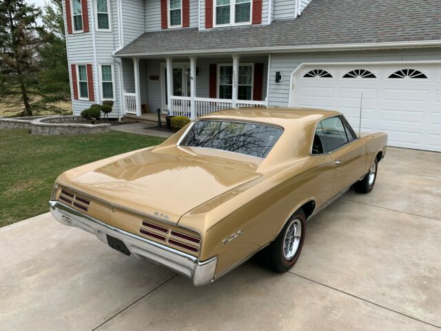 Pontiac GTO 1967 image number 14