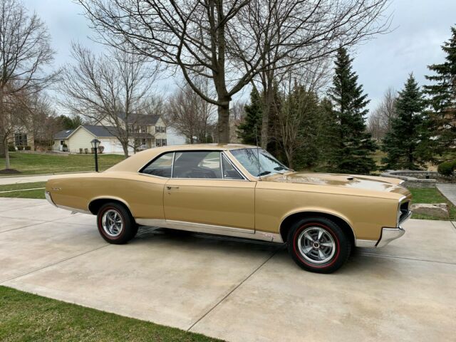 Pontiac GTO 1967 image number 15