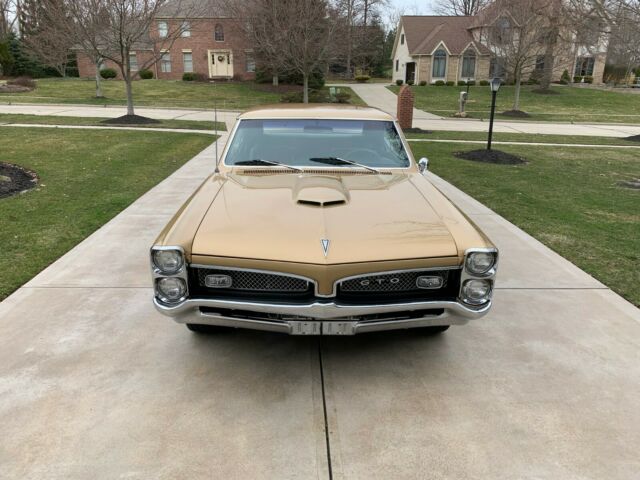 Pontiac GTO 1967 image number 16