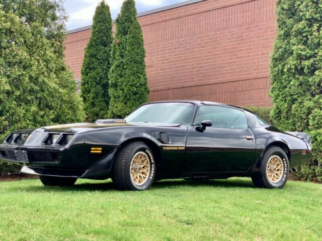 Pontiac Trans Am 1979 image number 19