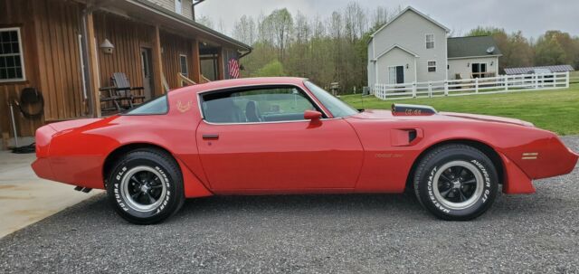 Pontiac Trans Am 1979 image number 31