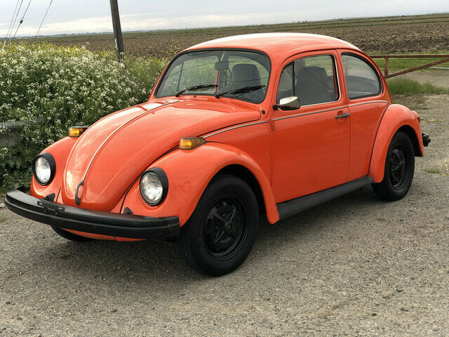 Volkswagen Beetle 1974 image number 0