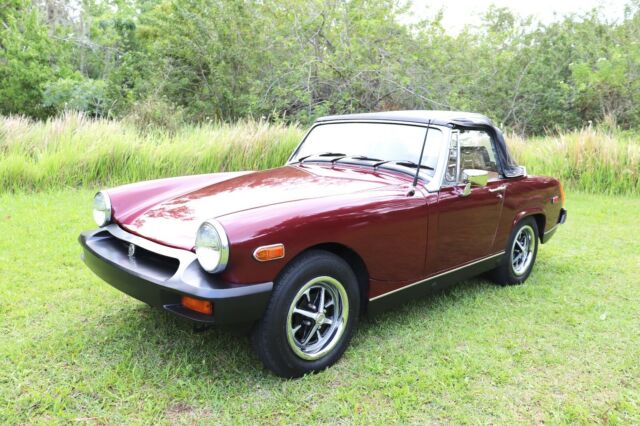 MG Midget 1979 image number 30