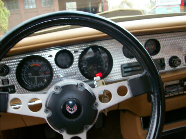 Pontiac Trans Am 1978 image number 11