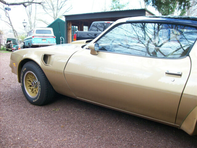 Pontiac Trans Am 1978 image number 23