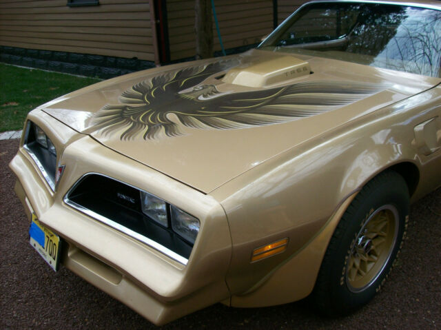 Pontiac Trans Am 1978 image number 25