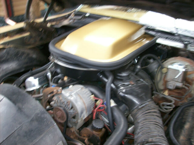 Pontiac Trans Am 1978 image number 33