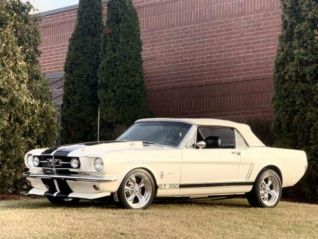 Ford Mustang 1965 image number 13