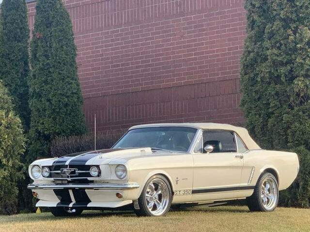 Ford Mustang 1965 image number 15