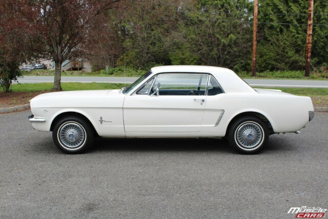 Ford Mustang 1965 image number 14