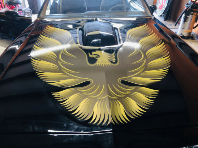 Pontiac Trans Am 1979 image number 6