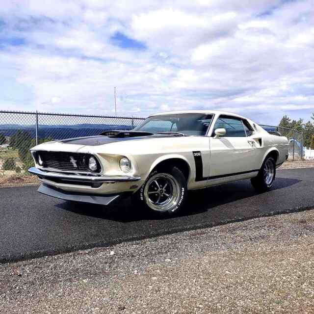 Ford Mustang Fastback 302 1969 image number 0