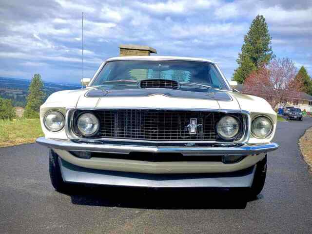 Ford Mustang Fastback 302 1969 image number 1