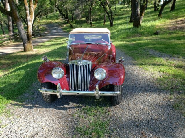 MG T-Series 1954 image number 1