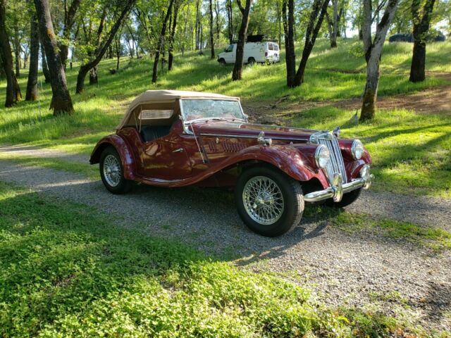 MG T-Series 1954 image number 2