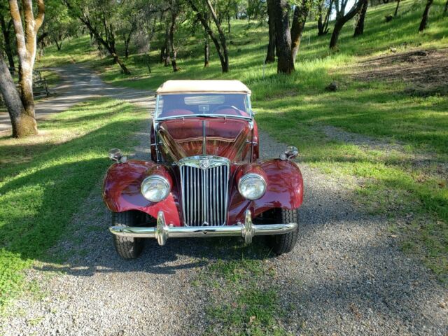 MG T-Series 1954 image number 23