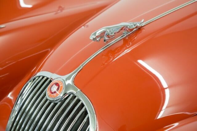 Jaguar XK 1959 image number 19